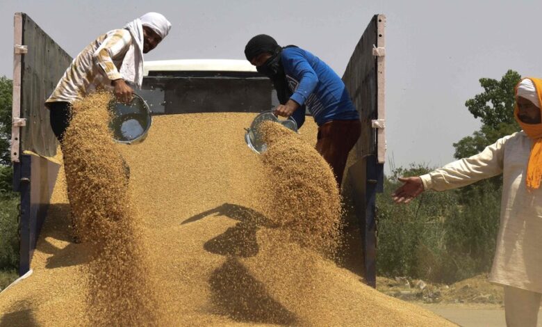 India bans most wheat exports, raising concerns about global food security