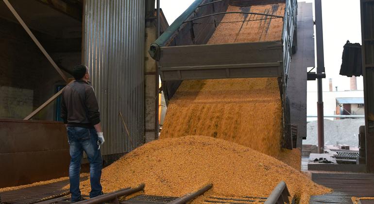 WFP calls for the reopening of ports in Ukraine to prevent the risk of famine lurking |