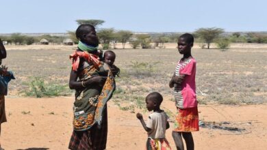 Relief team leader stresses urgent need for assistance as millions face drought in Horn of Africa |