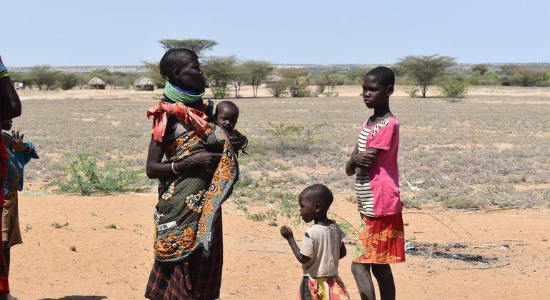 Relief team leader stresses urgent need for assistance as millions face drought in Horn of Africa |
