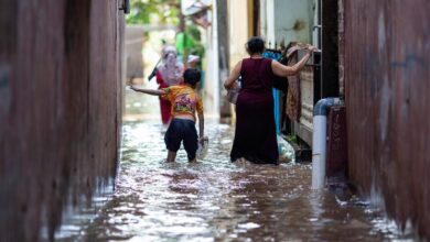 'Thinking about resilience' to protect from climate and other disasters |