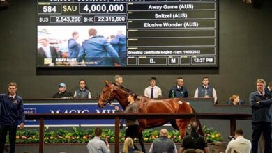 Yulong's away game on the first day of the Gold Coast sale