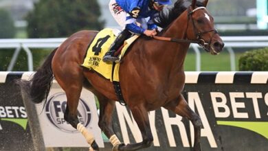 Cody's Wish to rule Westchester at Belmont Park