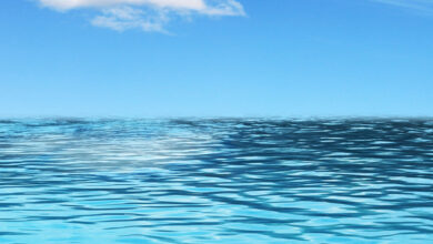 The World's Oceans Are Losing Their Memory Under Global Warming - Annoyed By It?