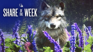 Share of the week: In Bloom - PlayStation.Blog