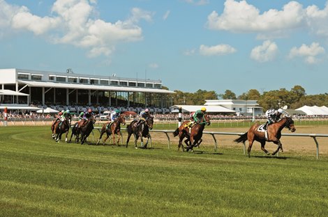 Tampa Bay Downs Processing Report, Wallet Interest