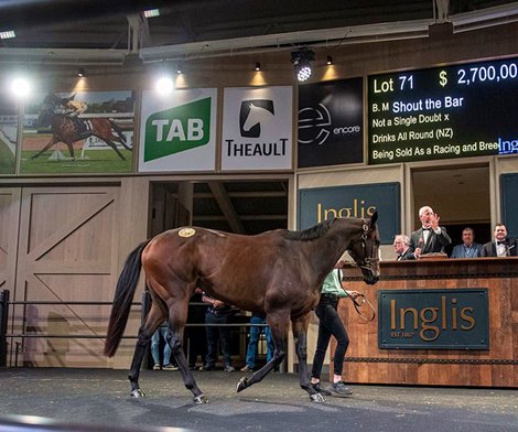Coolmore went on strike for shouting at the bar during the Chairman's sale