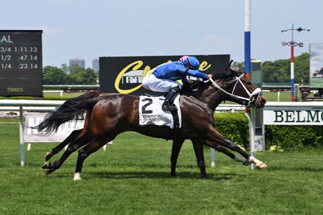 Big Apple introduces five NY-Bred stock races on May 30