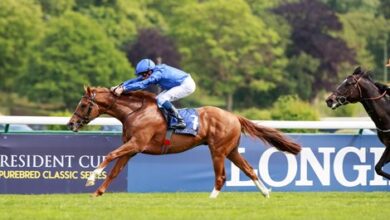 Modern game Victorious in French Two Thousand Guineas