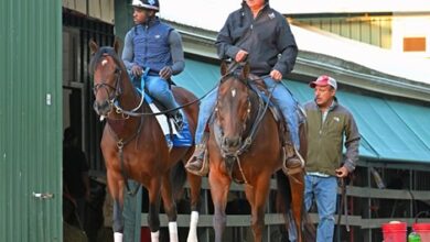 Epicenter, Early Voting Get to know Pimlico