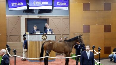 Girvin Filly leads day 1 of the FT Midlantic sale