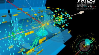 A candidate event display for the production of a Higgs boson decaying to two b-quarks (blue cones), in association with a W boson decaying to a muon (red) and a neutrino. The neutrino leaves the detector unseen, and is reconstructed through the missing transverse energy (dashed line). (Image: ATLAS Collaboration/CERN)