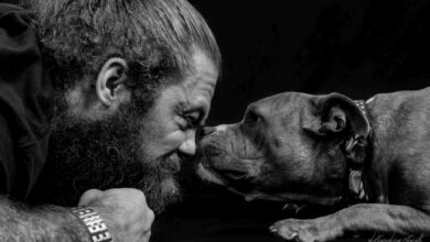How a three-legged shelter dog saved a suicide veteran