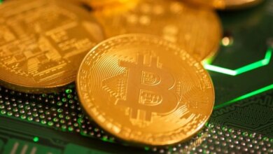 Cryptocurrency Price Slips After Record Week Because of Bitcoin Volatility