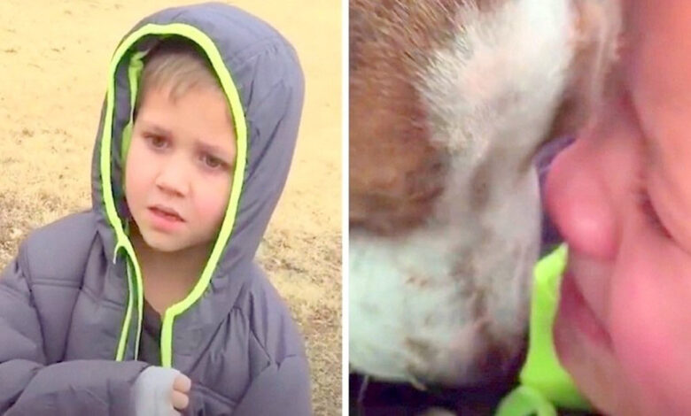 The boy's dog was missing for a month, when the mother called her son to come