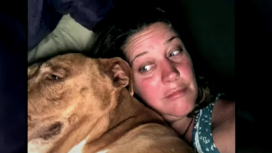 A couple wakes up to a strange dog cuddling in their bed