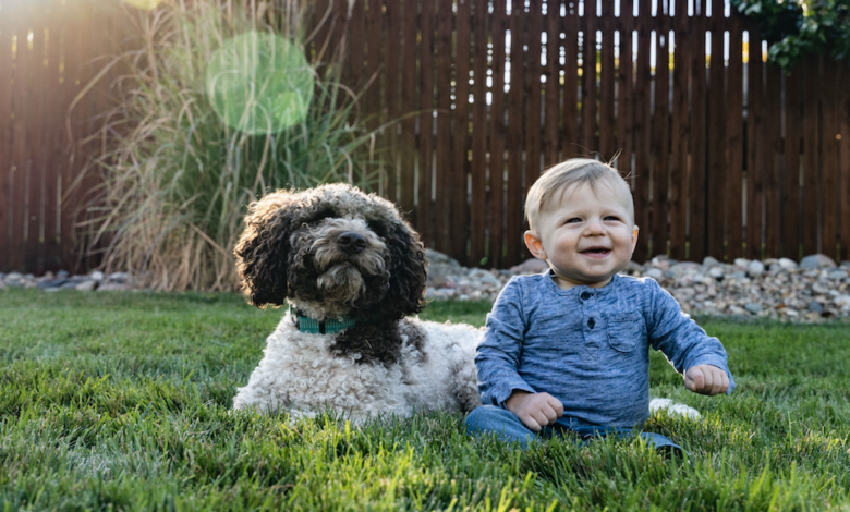 This brand of lawn care is better for pets, people and the planet