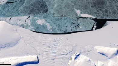 Sea ice could control Antarctic ice sheet stability, New Research Findings - Boosted by that?