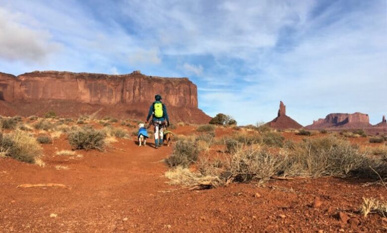 Visiting Monument Valley with the Dogs