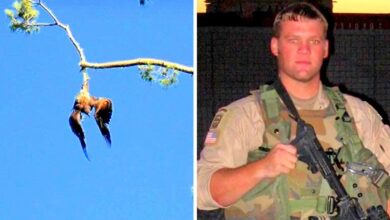 The town refuses to help the poor eagle hanging from the tree, so the army veteran walks in