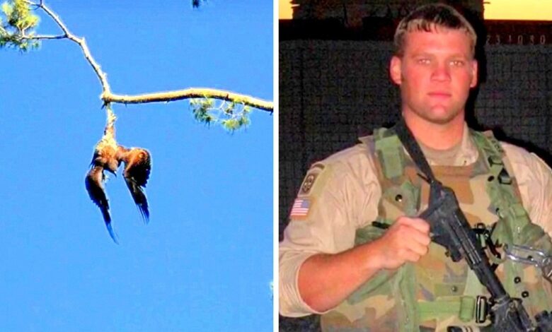 The town refuses to help the poor eagle hanging from the tree, so the army veteran walks in