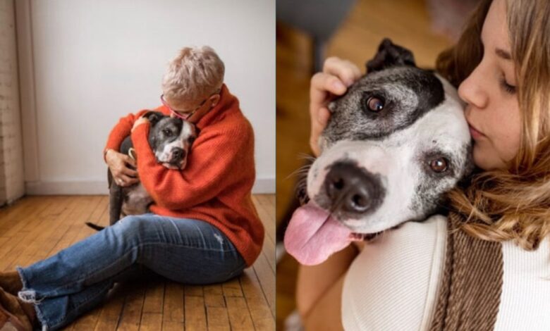 How One Pit Bull Inspired the 'Ripple Effect' of Pet Adoption in Philadelphia