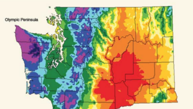 The best weekend in a while, plus why Eastern Washington is NOT in drought