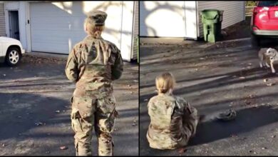 The soldier's return is devastated as the dog runs away, she sits down and says his name