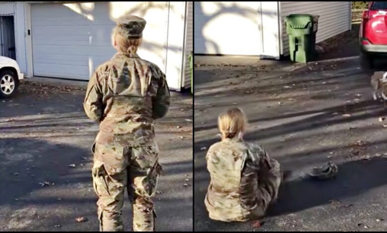 The soldier's return is devastated as the dog runs away, she sits down and says his name