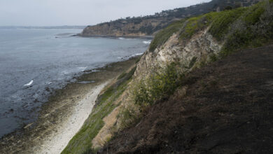 1 person killed and others injured after 4 people fall off cliff in California: NPR