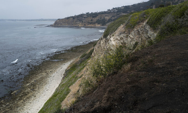 1 person killed and others injured after 4 people fall off cliff in California: NPR