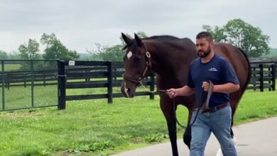 Meet the family of Preakness Early Voting winners
