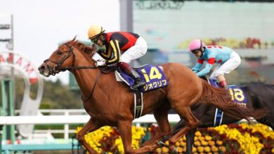 Geoglyph continues to bid for Japan's three crowns at the Battle of Derby