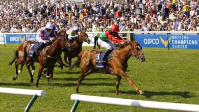 Guineas 2018 heroine Billesdon Brook dies suddenly at the age of 7