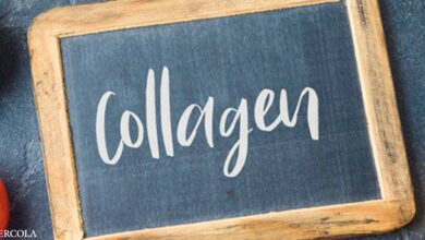 Why Collagen is Important for Bones and Skin