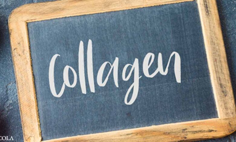 Why Collagen is Important for Bones and Skin