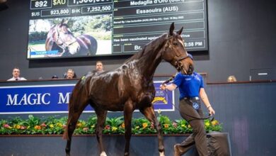 Coolmore buys Tangier with a million dollar discount