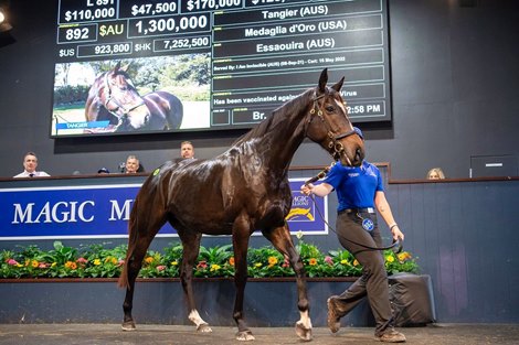 Coolmore buys Tangier with a million dollar discount