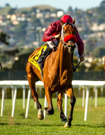 Sun Evening Delivers Another British Victory in SF Mile