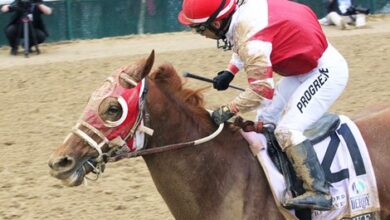 Progressive insurance leaves its mark at the Kentucky Derby