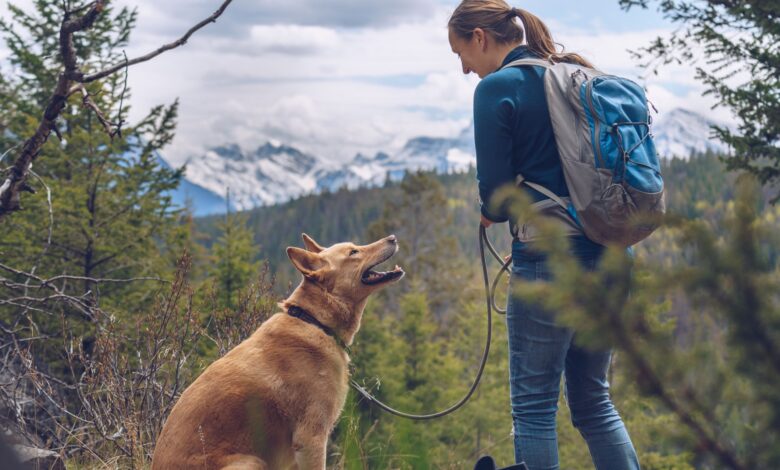 Dog-friendly hiking with picturesque scenery