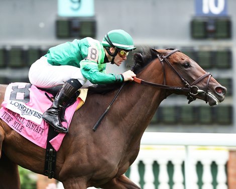 The Devil's Word Go Home to Distaff Turf Mile
