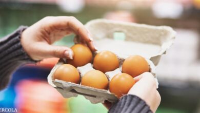 The Egg Crackdown — A Scorecard for Nutrition and Taste