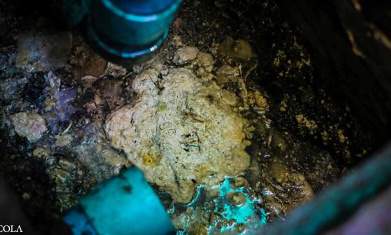 Drain-Blocking Fatbergs Are Becoming Increasingly Common
