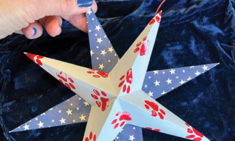 Decorative 3D paper star