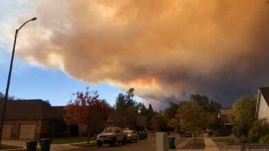 Các nhà khoa học phát triển phương pháp dự báo theo mùa về cháy rừng ở miền Tây Hoa Kỳ - Có thể cải thiện được điều đó?