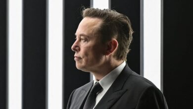 Musk's vague ideas of free speech and Tesla ambition could spell doom for India's minorities