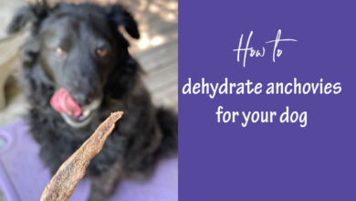 how to dehydrate anchovies for your dog