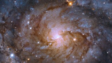 NASA's Hubble Space Telescope Detects the Hidden Galaxy Behind the Milky Way Galaxy!