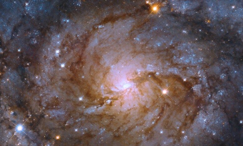 NASA's Hubble Space Telescope Detects the Hidden Galaxy Behind the Milky Way Galaxy!